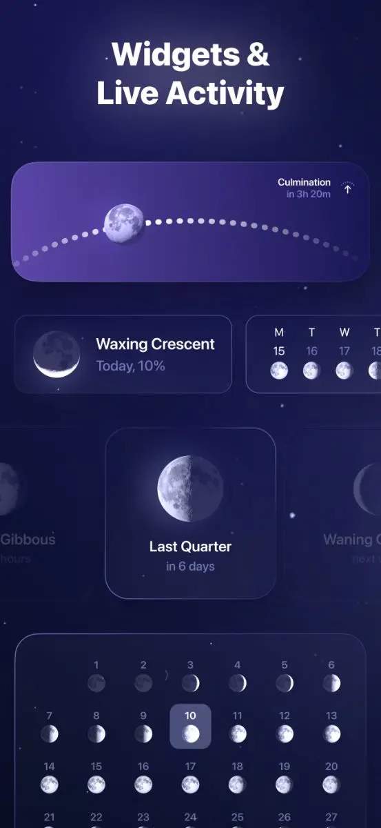 Moonlitt image number 21