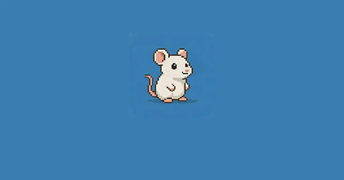 CodeMouse product image