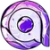 Logo of Appliku